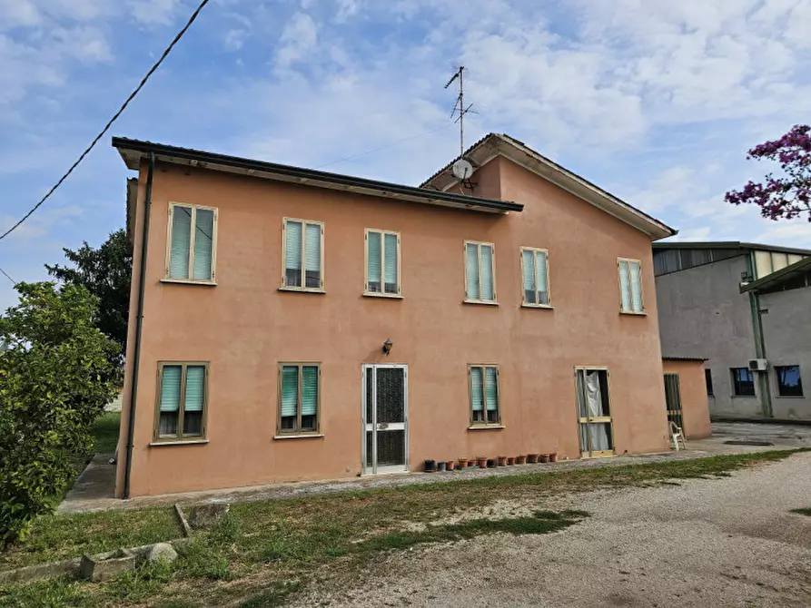 Immagine 15 di Capannone industriale in vendita  in VIA GRANZETTE a Monselice