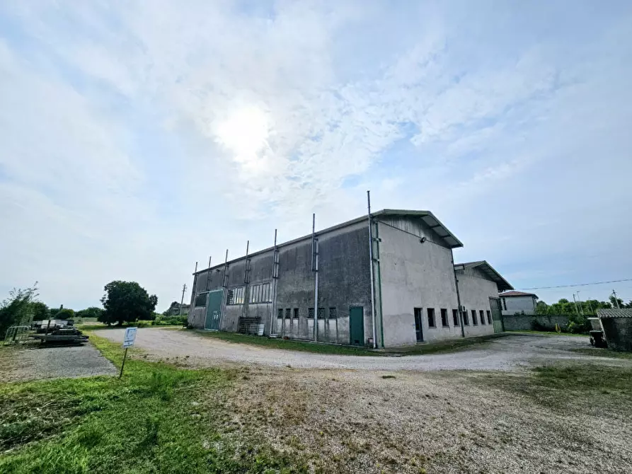 Immagine 17 di Capannone industriale in vendita  in VIA GRANZETTE a Monselice
