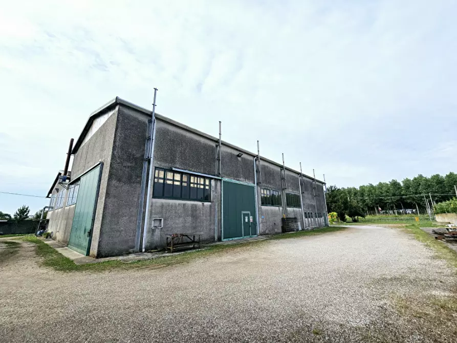 Immagine 18 di Capannone industriale in vendita  in VIA GRANZETTE a Monselice