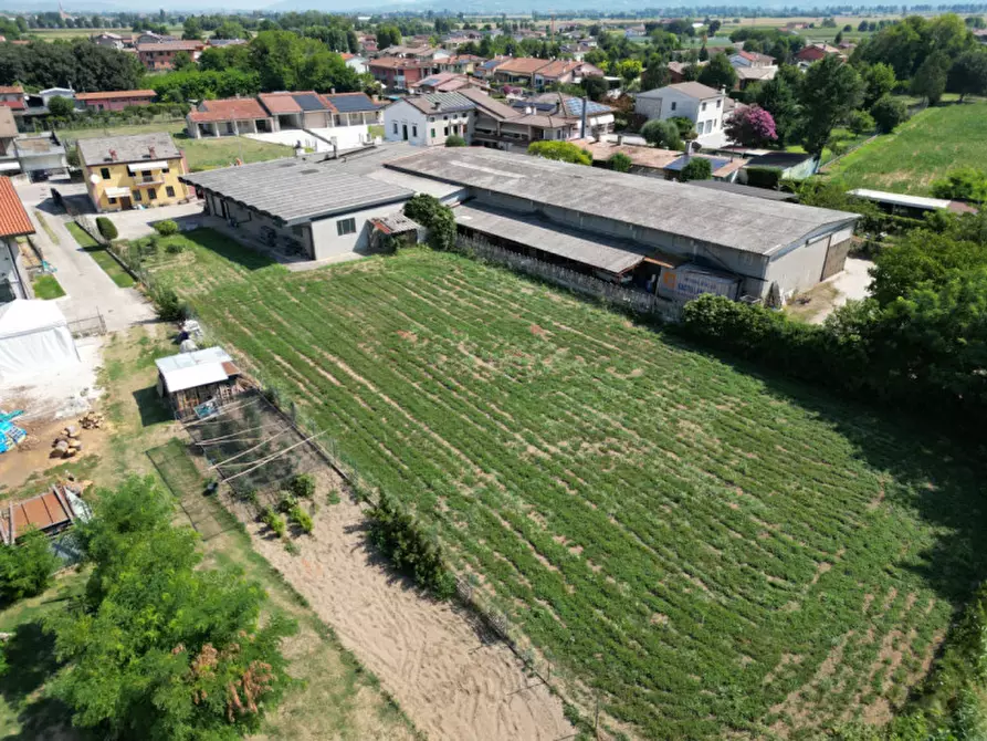 Immagine 19 di Casa indipendente in vendita  in VIA BAFFA a Zimella