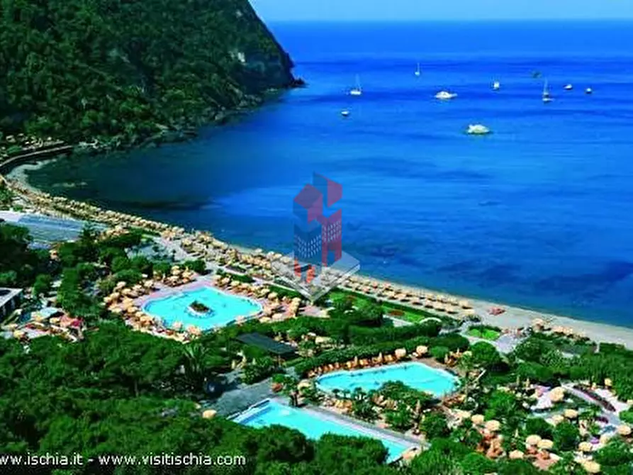 Immagine 5 di Appartamento in vendita  in ISCHIA - MULTIPROPRIETA' A FORIO - VILLA GILDA- a Forio