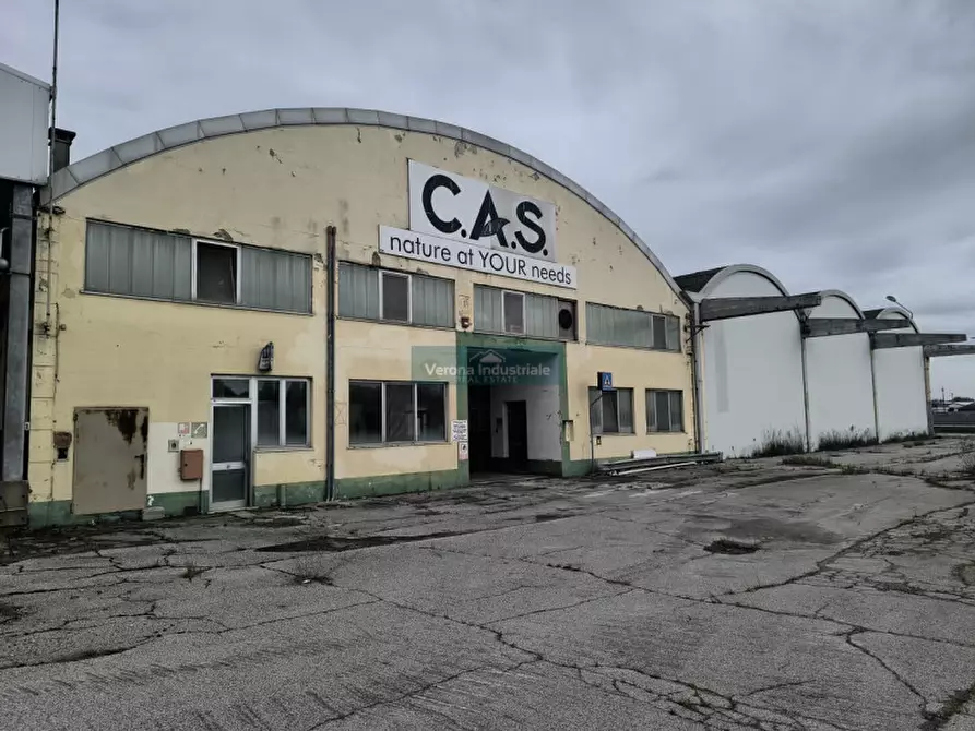 Immagine 1 di Capannone industriale in vendita  in Castagnaro Via Borgonovo nr 1101 a Castagnaro