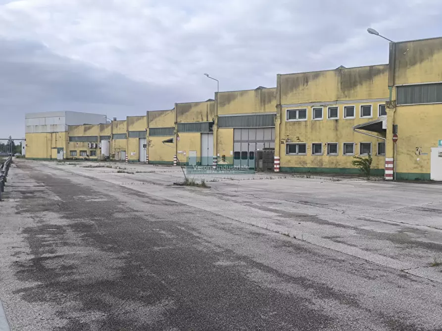 Immagine 3 di Capannone industriale in vendita  in Castagnaro Via Borgonovo nr 1101 a Castagnaro