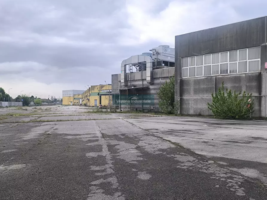 Immagine 13 di Capannone industriale in vendita  in Castagnaro Via Borgonovo nr 1101 a Castagnaro