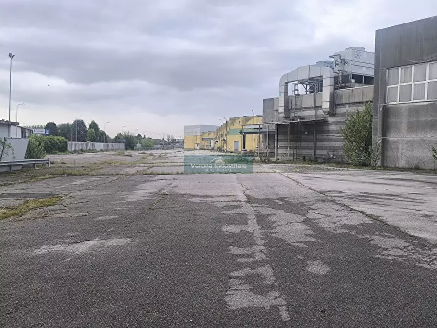 Immagine 15 di Capannone industriale in vendita  in Castagnaro Via Borgonovo nr 1101 a Castagnaro