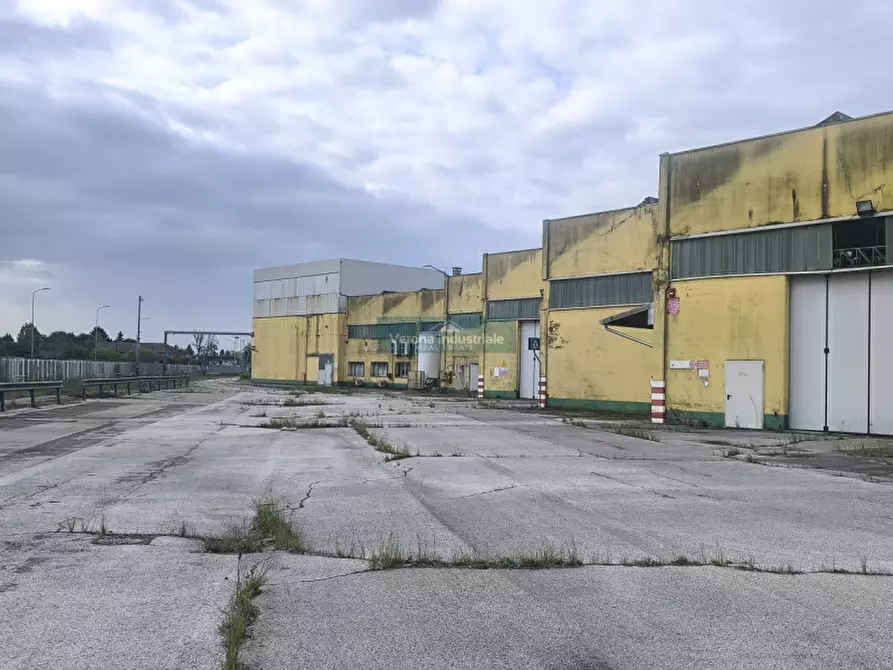 Immagine 6 di Capannone industriale in vendita  in Castagnaro via Borgonovo nr 1101 a Castagnaro
