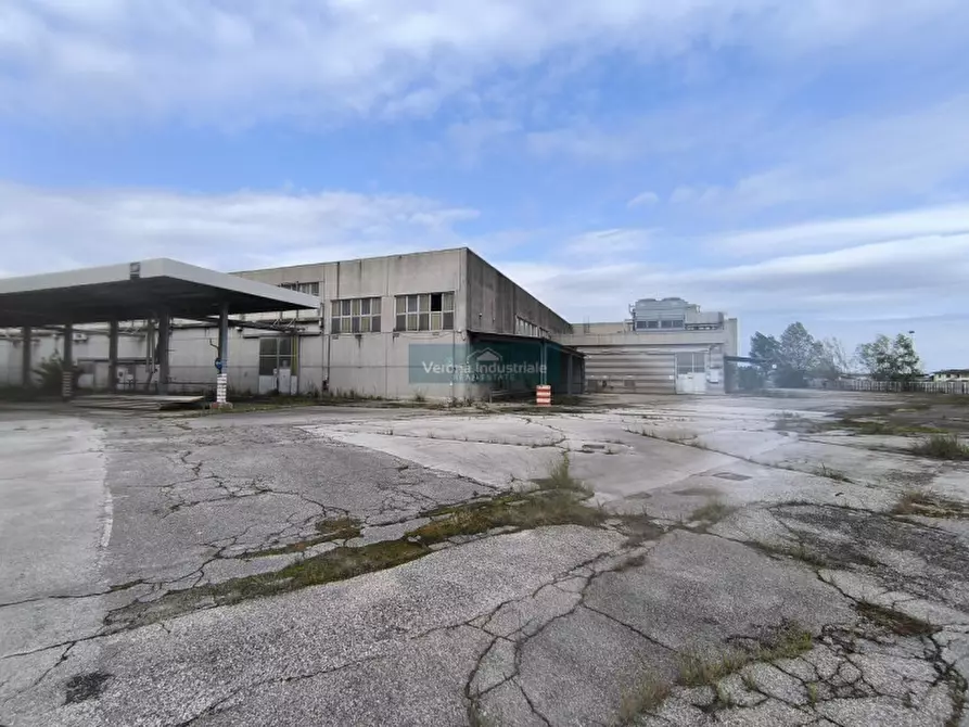 Immagine 2 di Capannone industriale in vendita  a Villa Bartolomea