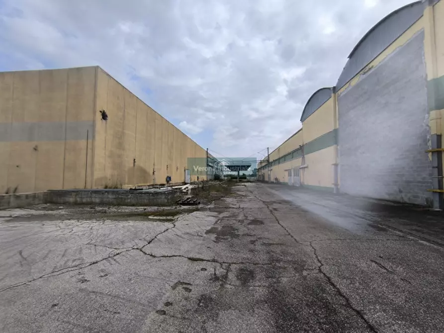 Immagine 4 di Capannone industriale in vendita  a Villa Bartolomea