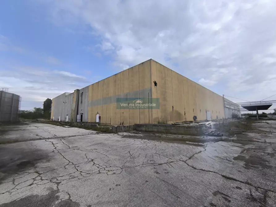 Immagine 5 di Capannone industriale in vendita  a Villa Bartolomea