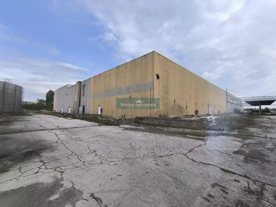 Immagine 7 di Capannone industriale in vendita  a Villa Bartolomea