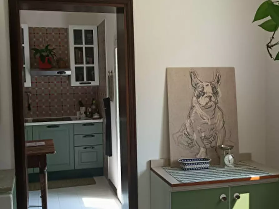 Immagine 19 di Casa indipendente in vendita  in Via Cesare Battisti a Vigonza