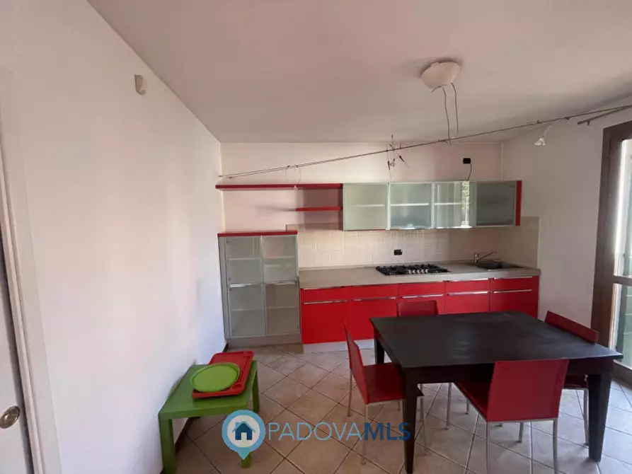Immagine 11 di Appartamento in vendita  in Via Cellini a Noventa Padovana