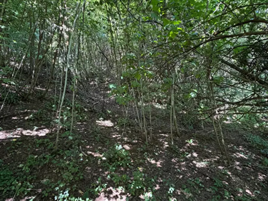 Immagine 13 di Rustico / casale in vendita  in Contrà Vienne 1 a Torrebelvicino