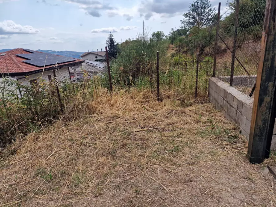 Immagine 2 di Terreno in vendita  in Via Luigi Giordano a Petilia Policastro