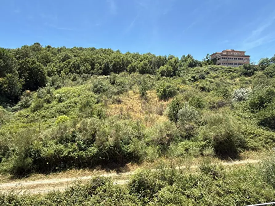 Immagine 3 di Terreno in vendita  in Via Luigi Giordano a Petilia Policastro