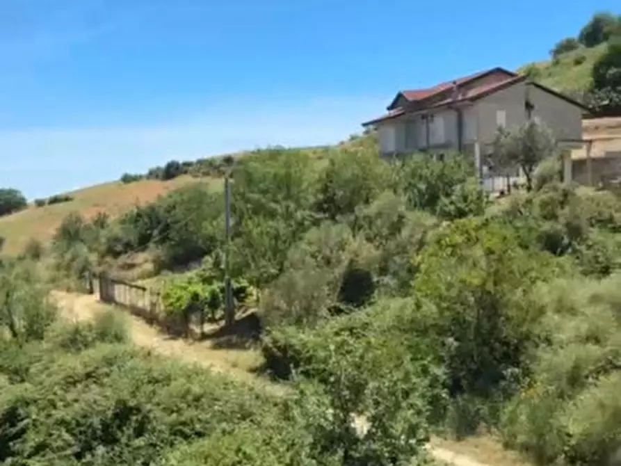 Immagine 4 di Terreno in vendita  in Via Luigi Giordano a Petilia Policastro
