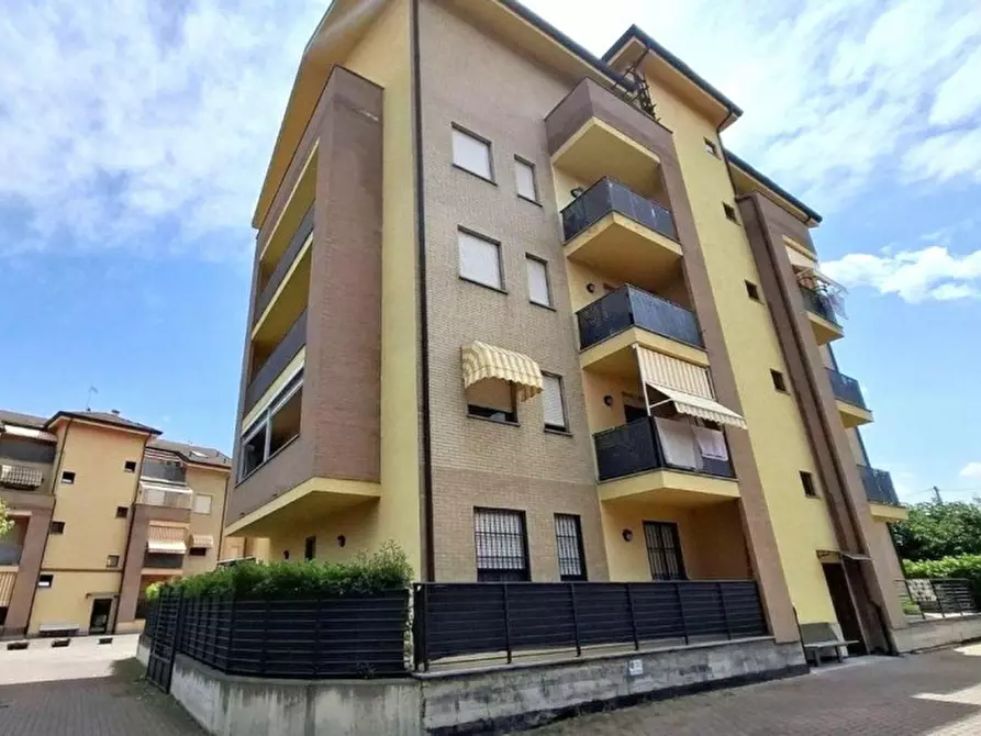 Immagine 12 di Cantina in vendita  in Via Luciano Raschio, 15121 Alessandria AL, Italia a Alessandria