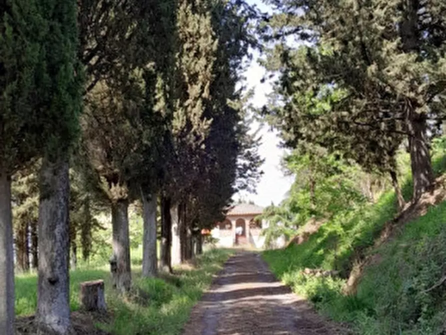 Immagine 2 di Rustico / casale in vendita  in DOLCIANO a Chiusi