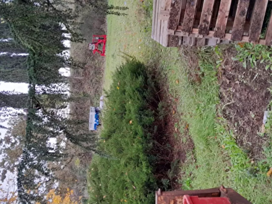 Immagine 5 di Rustico / casale in vendita  in DOLCIANO a Chiusi