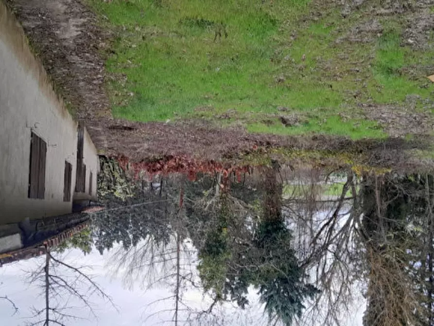 Immagine 6 di Rustico / casale in vendita  in DOLCIANO a Chiusi