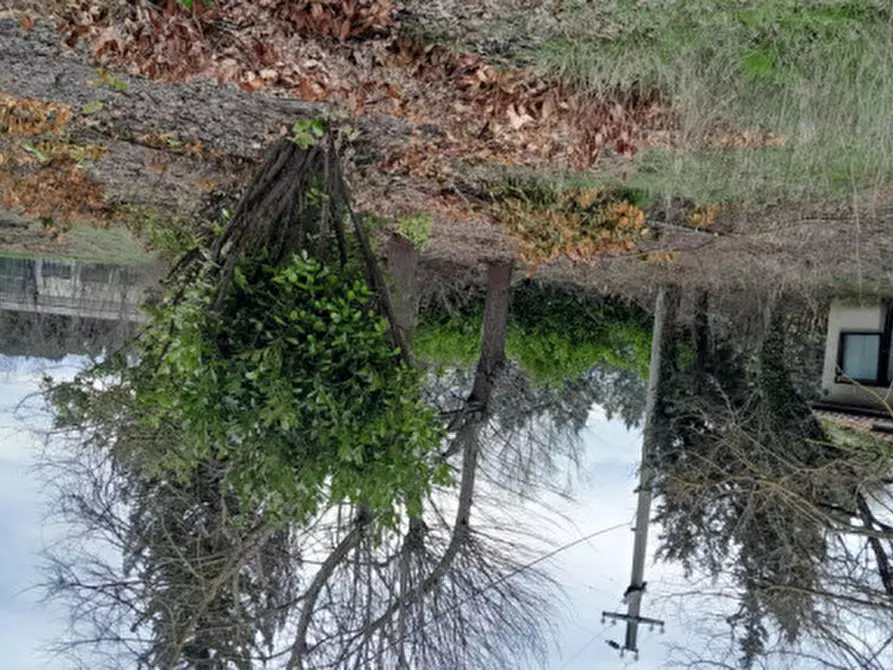 Immagine 7 di Rustico / casale in vendita  in DOLCIANO a Chiusi