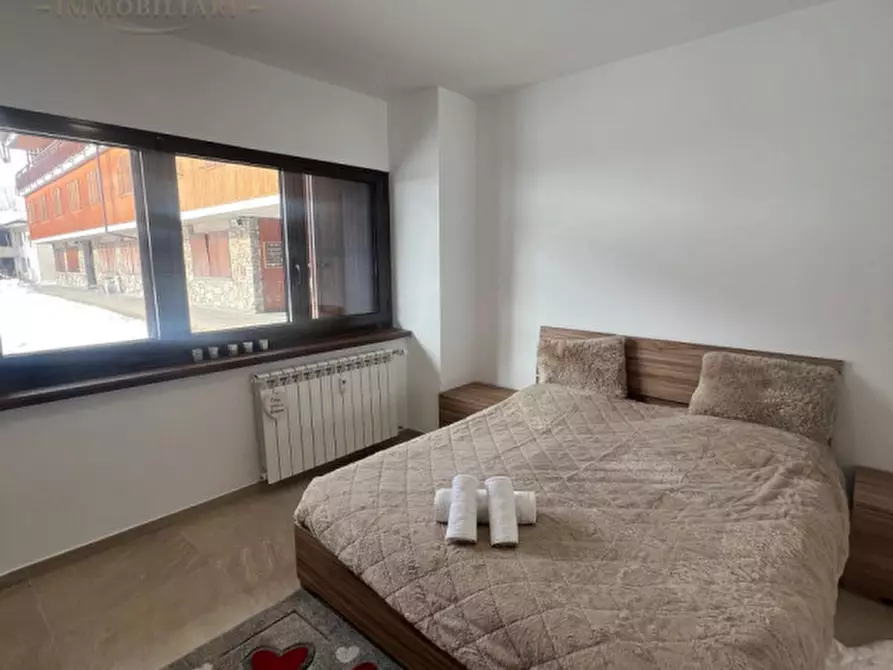 Immagine 21 di Appartamento in vendita  in Corso Nizza 160 a Limone Piemonte