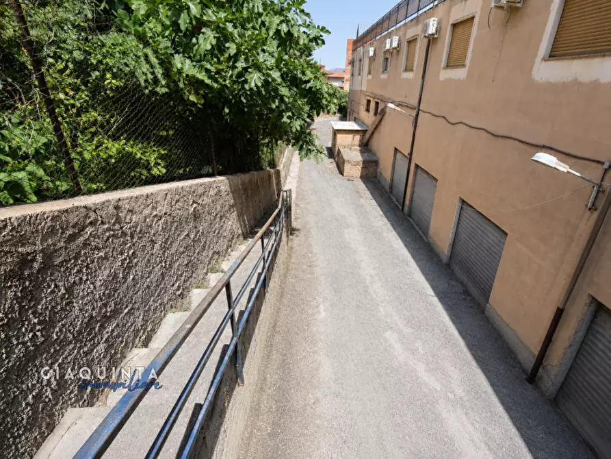 Immagine 18 di Appartamento in vendita  in Via Torino n. 3 a Palagonia