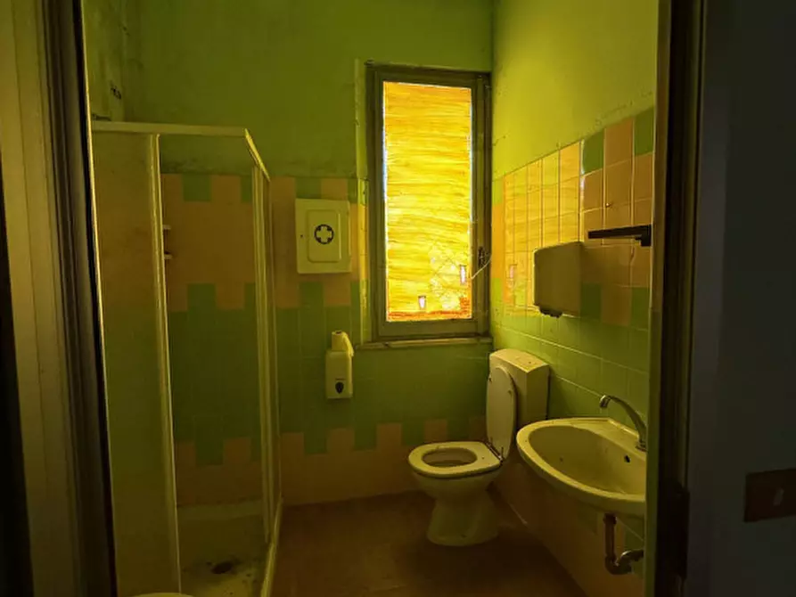 Immagine 16 di Negozio in vendita  in Strada Maestà Bassa a Roccabianca