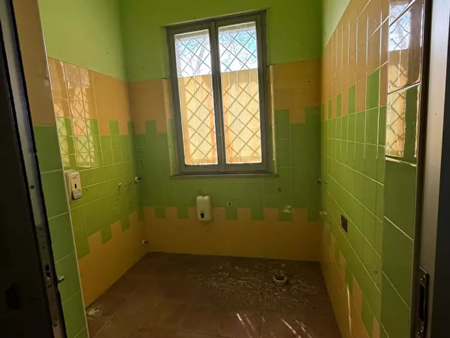Immagine 17 di Negozio in vendita  in Strada Maestà Bassa a Roccabianca