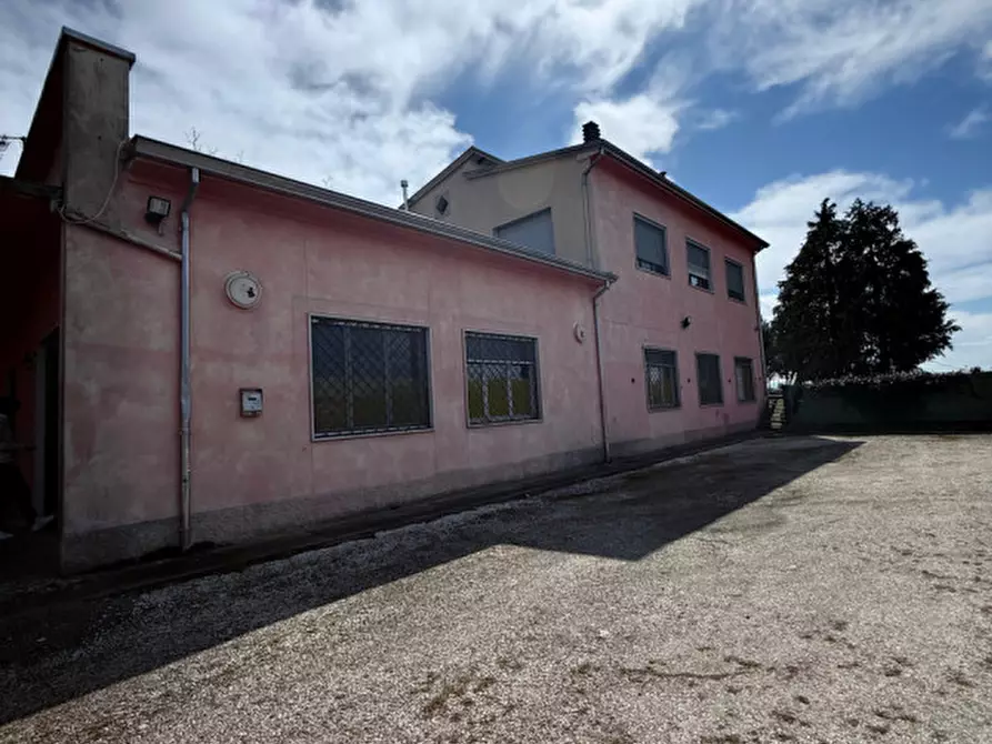 Immagine 18 di Negozio in vendita  in Strada Maestà Bassa a Roccabianca