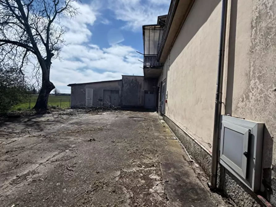 Immagine 19 di Negozio in vendita  in Strada Maestà Bassa a Roccabianca