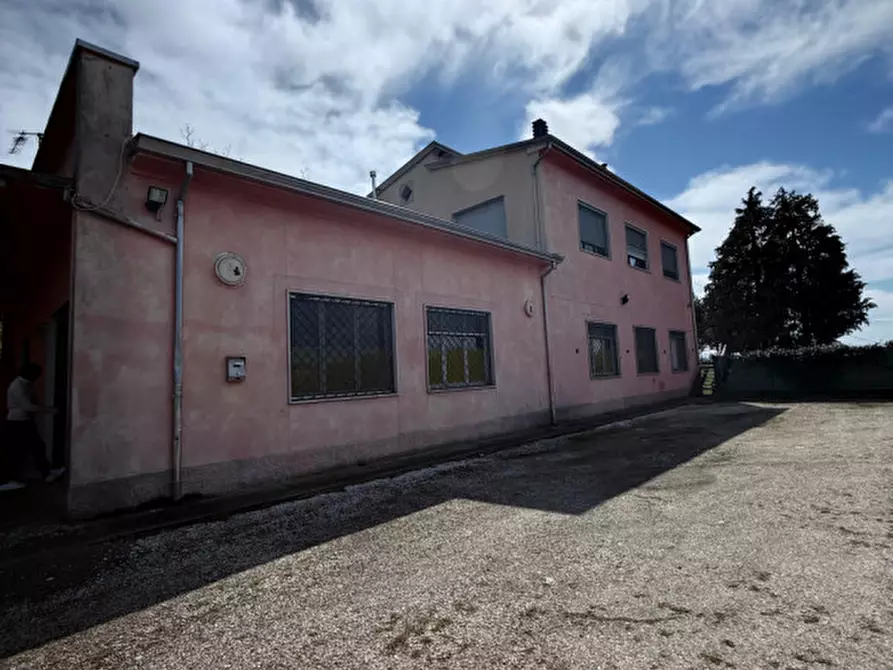 Immagine 20 di Negozio in vendita  in Strada Maestà Bassa a Roccabianca
