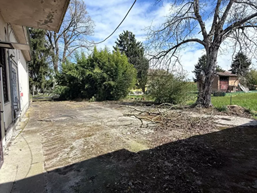 Immagine 21 di Negozio in vendita  in Strada Maestà Bassa a Roccabianca