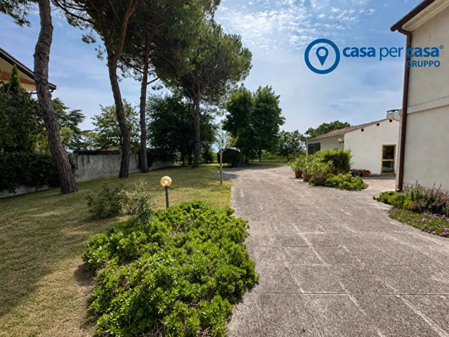 Immagine 8 di Casa indipendente in vendita  in scardovari a Porto Tolle