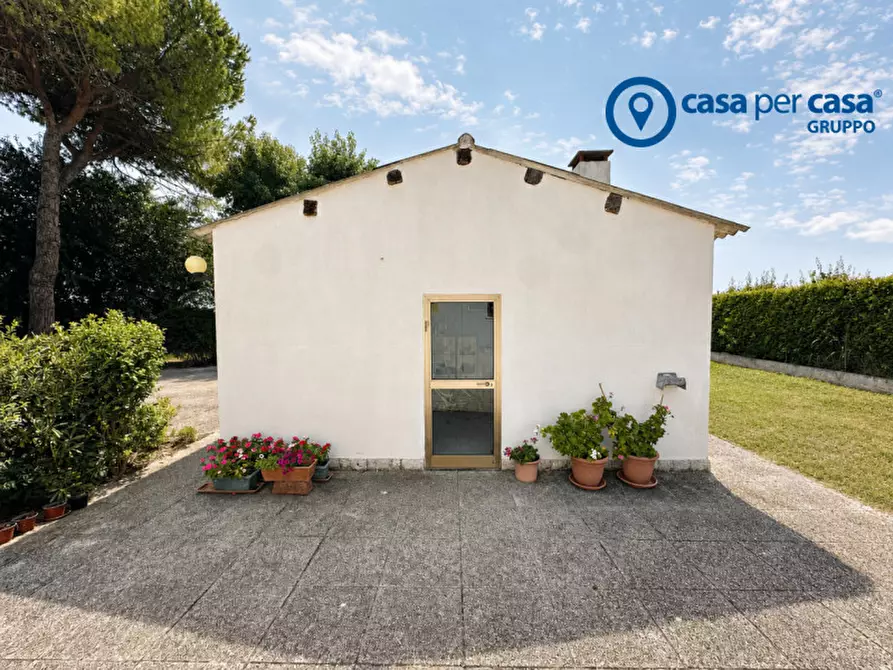 Immagine 14 di Casa indipendente in vendita  in scardovari a Porto Tolle