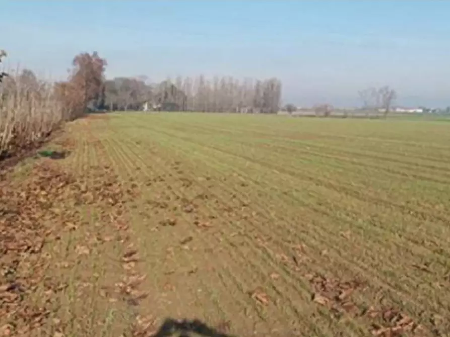 Immagine 1 di Terreno in vendita  in Via piacentina a Nogara
