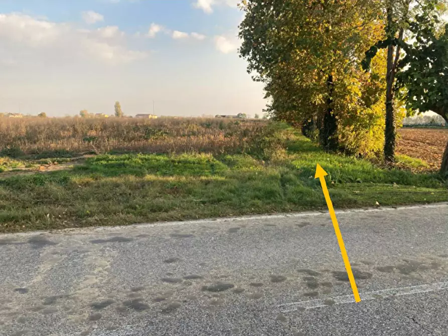 Immagine 3 di Terreno in vendita  in Via piacentina a Nogara