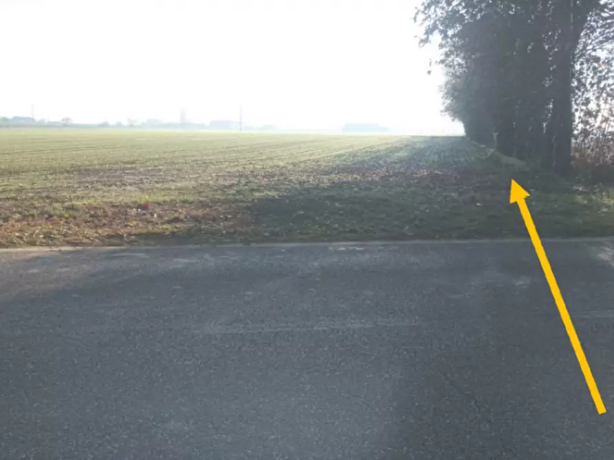 Immagine 4 di Terreno in vendita  in Via piacentina a Nogara