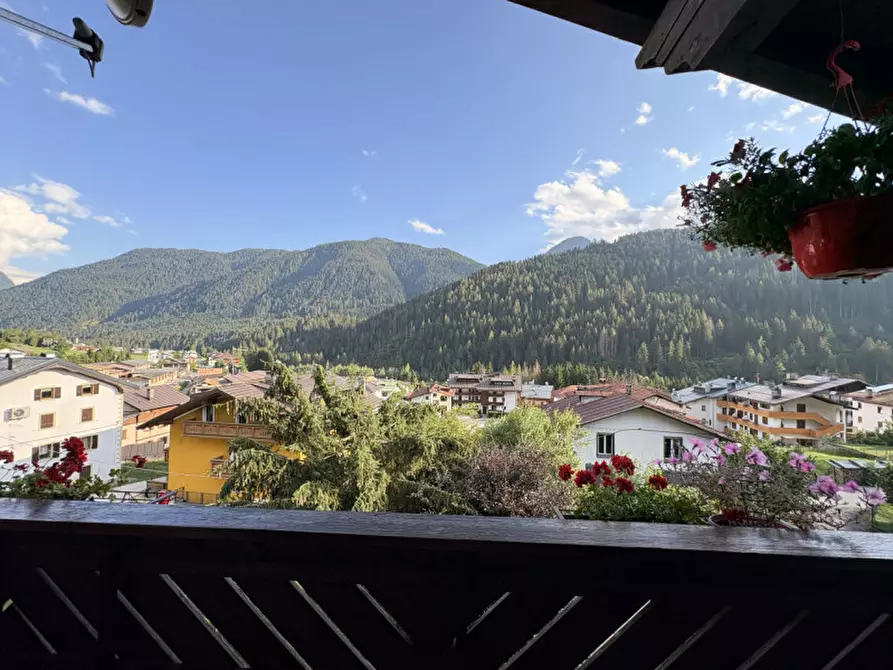 Immagine 21 di Appartamento in vendita  in Via Tre Cime,4 a Auronzo Di Cadore
