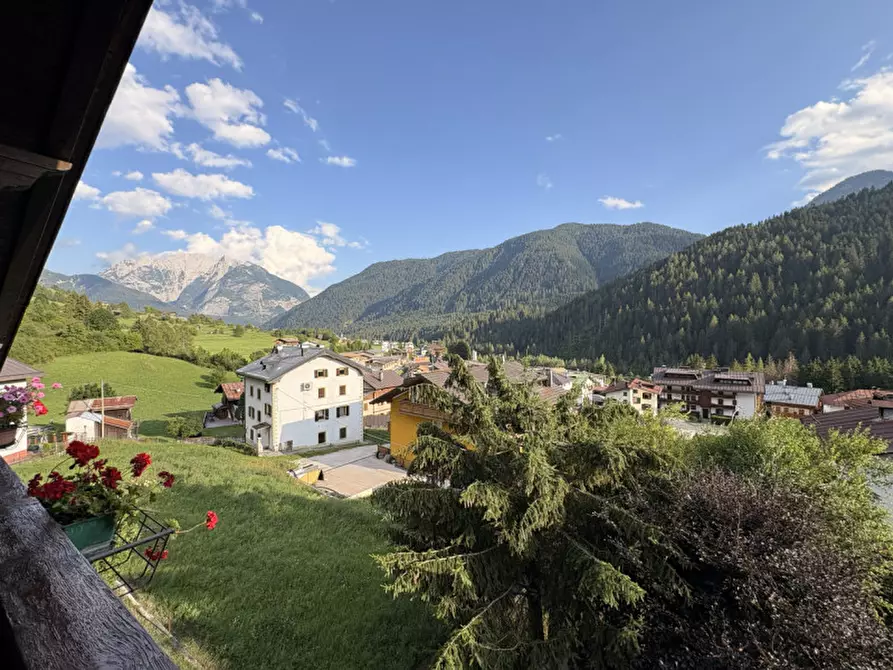 Immagine 22 di Appartamento in vendita  in Via Tre Cime,4 a Auronzo Di Cadore