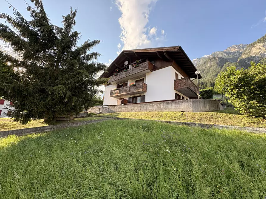 Immagine 23 di Appartamento in vendita  in Via Tre Cime,4 a Auronzo Di Cadore