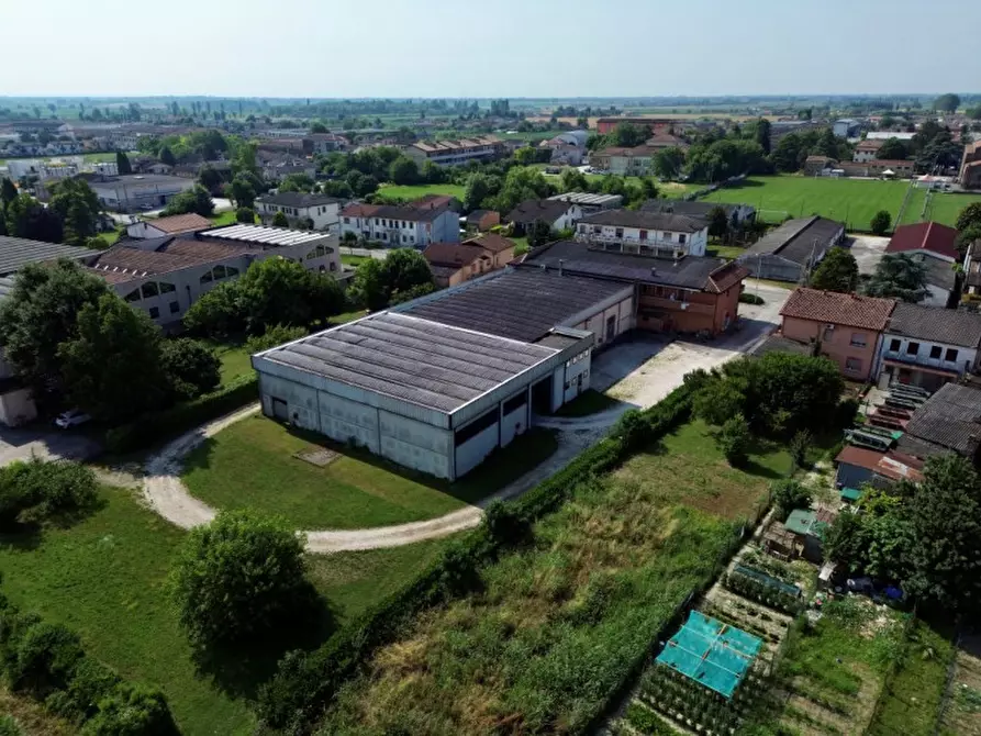 Immagine 2 di Capannone industriale in vendita  in Via Campolongo a Casale Di Scodosia