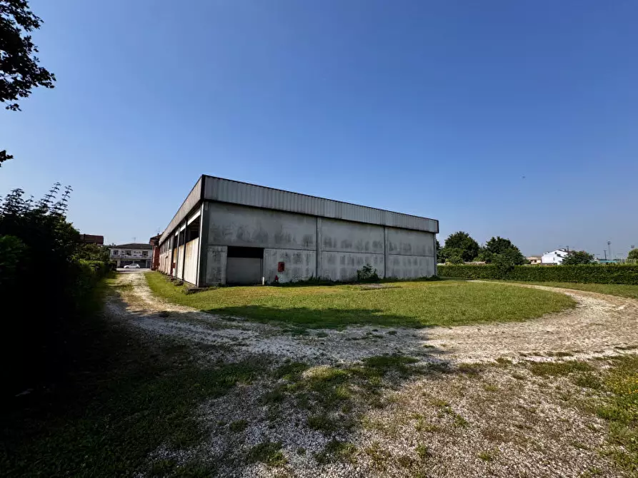 Immagine 4 di Capannone industriale in vendita  in Via Campolongo a Casale Di Scodosia