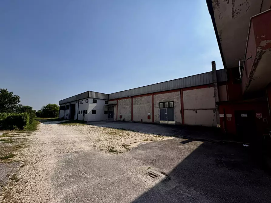 Immagine 7 di Capannone industriale in vendita  in Via Campolongo a Casale Di Scodosia