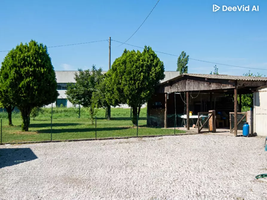 Immagine 4 di Negozio in vendita  in Via Polesana per Rovigo, 32 a Lendinara