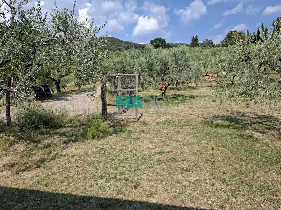 Immagine 5 di Terreno in vendita  in via di malcantone e vignone a Prato