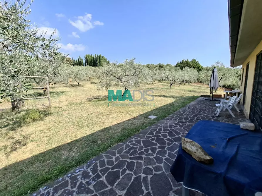 Immagine 40 di Terreno in vendita  in via di malcantone e vignone a Prato