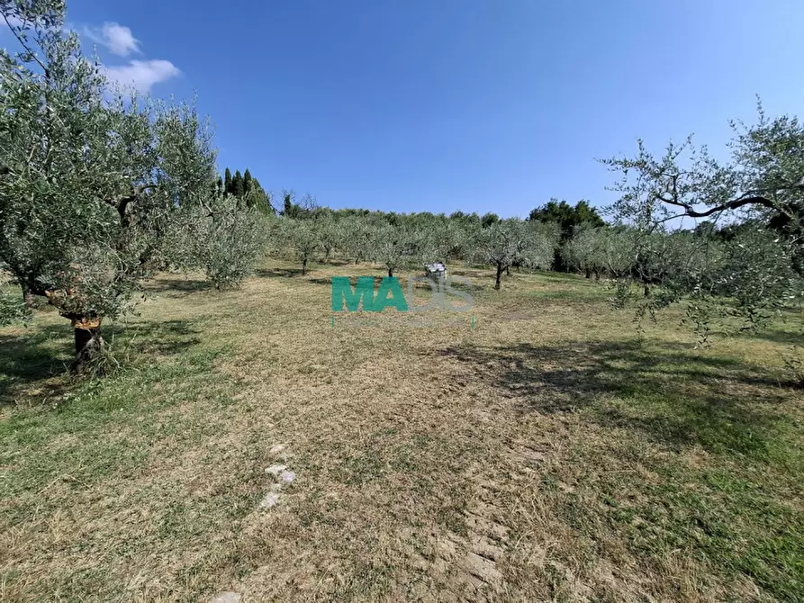 Immagine 43 di Terreno in vendita  in via di malcantone e vignone a Prato