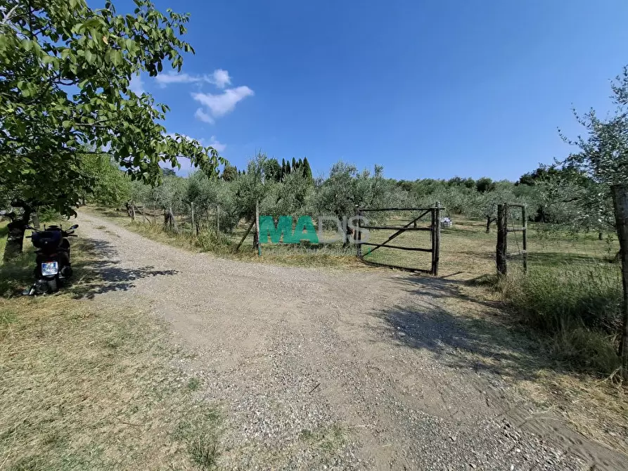 Immagine 56 di Terreno in vendita  in via di malcantone e vignone a Prato