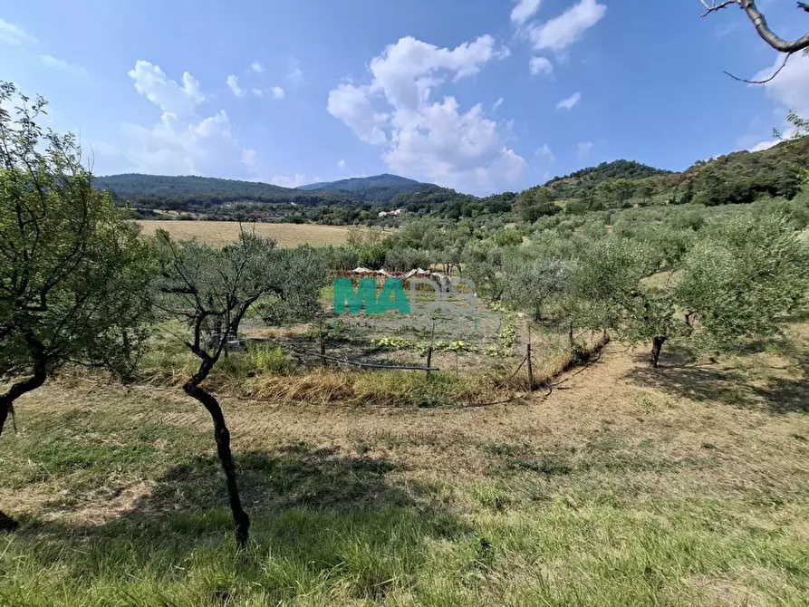 Immagine 61 di Terreno in vendita  in via di malcantone e vignone a Prato